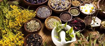 ayurvedic medicines manufacturers in Ludhiana